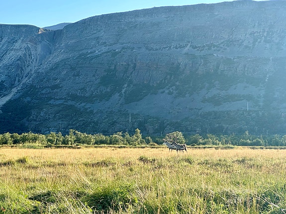 Bilde 3 av 3 i jobbannonse-galleriet