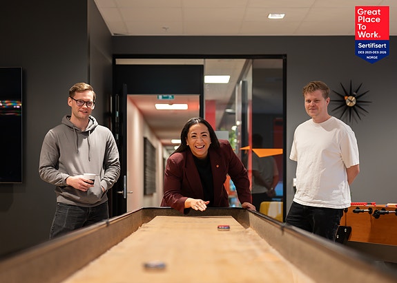 Bilde 1 av 4 i jobbannonse-galleriet