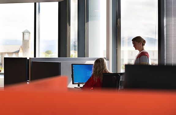 Bilde 4 av 4 i jobbannonse-galleriet