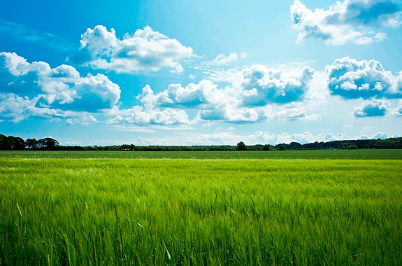 Bilde 1 av 1 i jobbannonse-galleriet