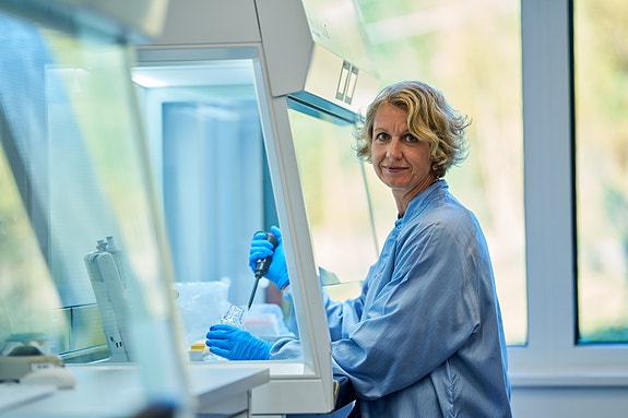 Bilde 2 av 3 i jobbannonse-galleriet