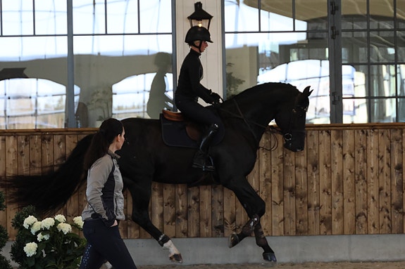 Bilde fra arbeidsgiver