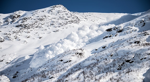 Bilde fra arbeidsgiver
