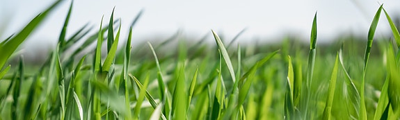 Bilde fra arbeidsgiver