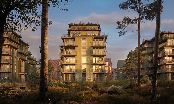 Bilde 2 av 6 i jobbannonse-galleriet