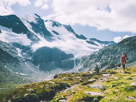 Bilde 1 av 1 i jobbannonse-galleriet