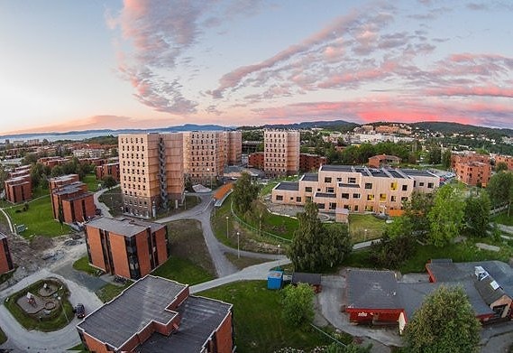 Bilde 1 av 1 i jobbannonse-galleriet