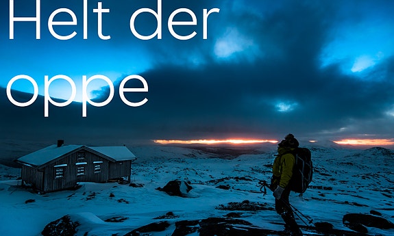 Bilde 1 av 1 i jobbannonse-galleriet