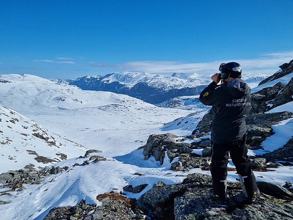 Bilde fra arbeidsgiver