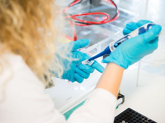 Bilde 5 av 10 i jobbannonse-galleriet