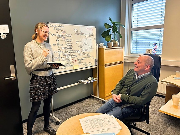 Bilde 2 av 10 i jobbannonse-galleriet