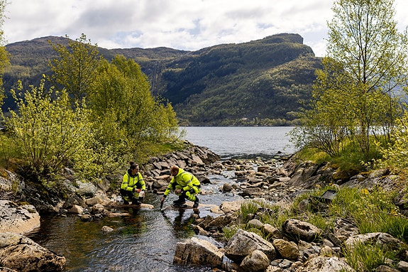 Bilde 2 av 6 i jobbannonse-galleriet