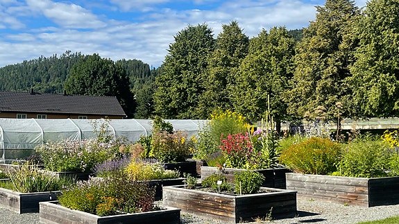 Vea er en undervisningspark