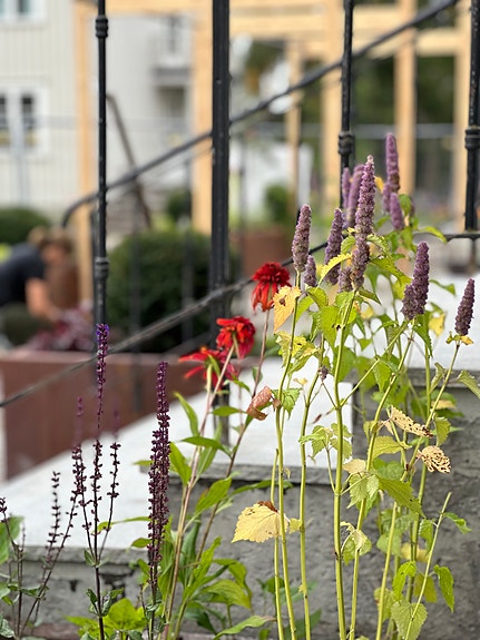 Bilde 2 av 3 i jobbannonse-galleriet