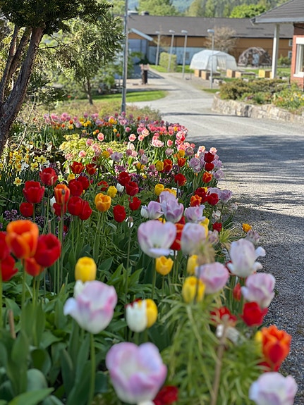 Bilde 3 av 3 i jobbannonse-galleriet