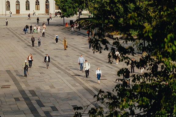 Bilde 1 av 1 i jobbannonse-galleriet