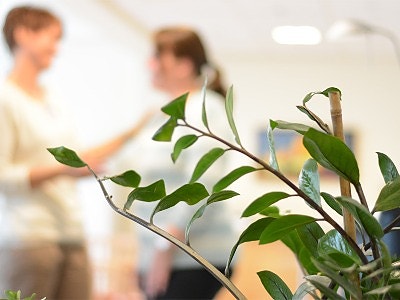 Sykehuset Telemark HF logo