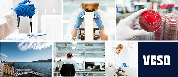 Bilde 1 av 1 i jobbannonse-galleriet