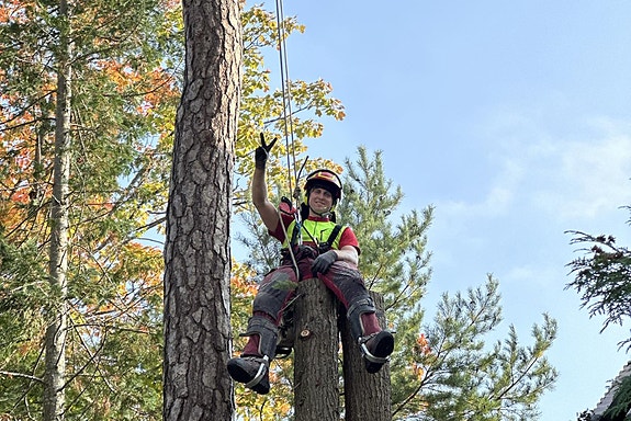 Bilde 2 av 3 i jobbannonse-galleriet