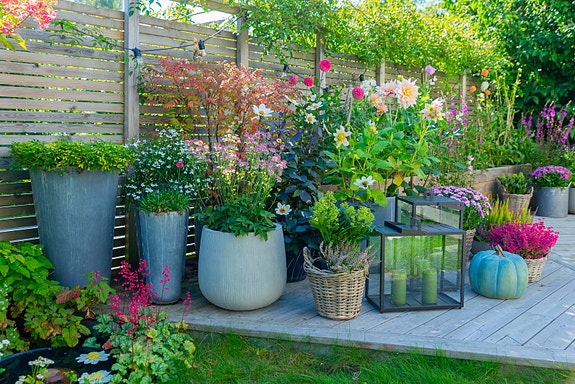 Bilde 1 av 1 i jobbannonse-galleriet