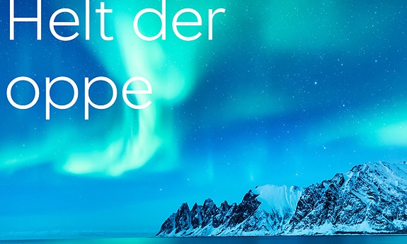 Bilde 1 av 1 i jobbannonse-galleriet