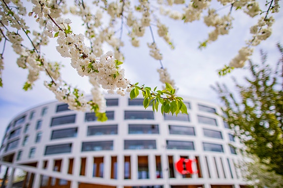 Bilde fra arbeidsgiver