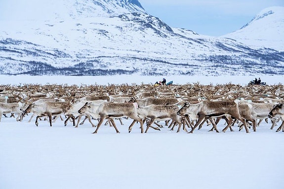 Bilde 2 av 6 i jobbannonse-galleriet