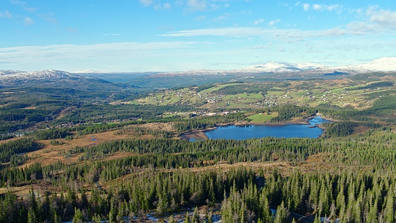 Bilde 5 av 6 i jobbannonse-galleriet