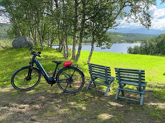 Bilde 1 av 6 i jobbannonse-galleriet