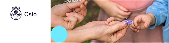 Bilde 3 av 3 i jobbannonse-galleriet