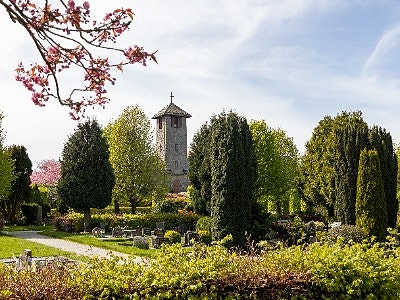 Bilde 1 av 1 i jobbannonse-galleriet