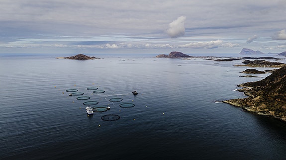 Bilde fra arbeidsgiver