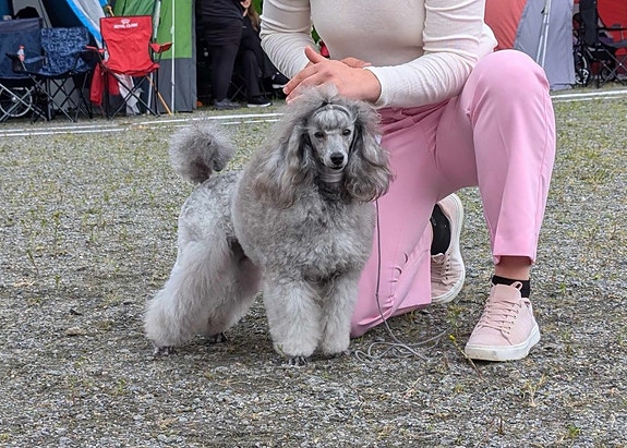 Product image 8 of 9