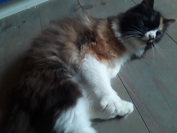 Product image 3 of 7