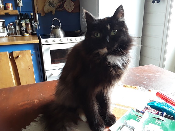 Product image 7 of 7