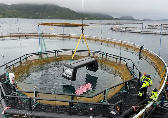 Bilde 8 av 10 i jobbannonse-galleriet