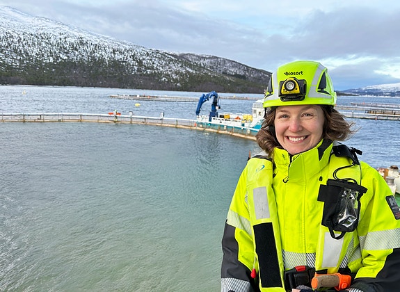 Bilde 2 av 10 i jobbannonse-galleriet