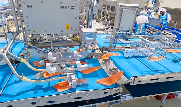 Automatisk fjerning av pinbein fra laksefileter - avansert teknologi med høy presisjon