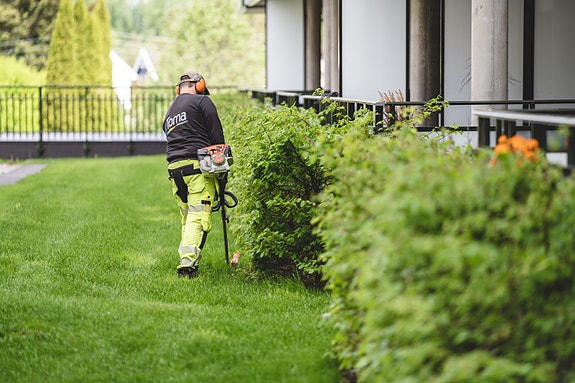 Bilde 3 av 3 i jobbannonse-galleriet