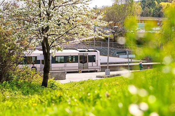 Bilde 1 av 3 i jobbannonse-galleriet