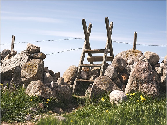 Bilde 1 av 1 i jobbannonse-galleriet