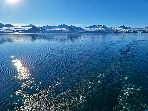 Bilde 5 av 5 i jobbannonse-galleriet