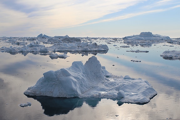 Bilde 1 av 5 i jobbannonse-galleriet