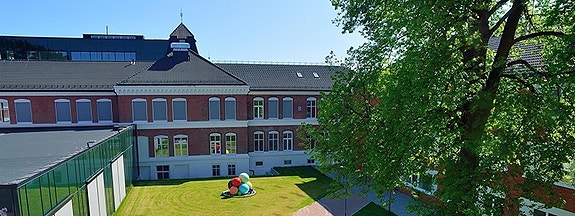 Buskerud fylkeskommune, Ringerike videregående skole logo