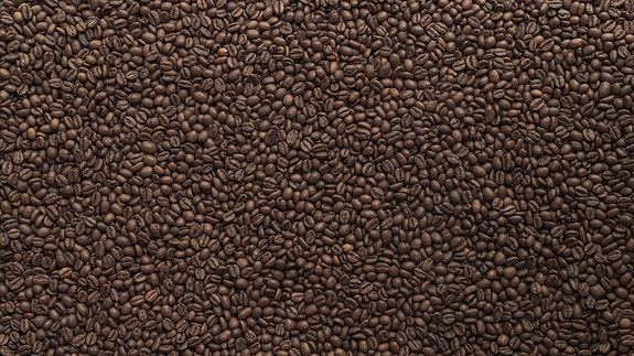 Bilde fra arbeidsgiver