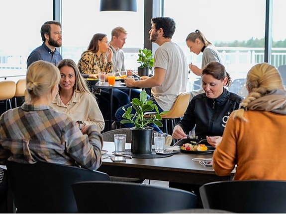 Bilde 8 av 8 i jobbannonse-galleriet