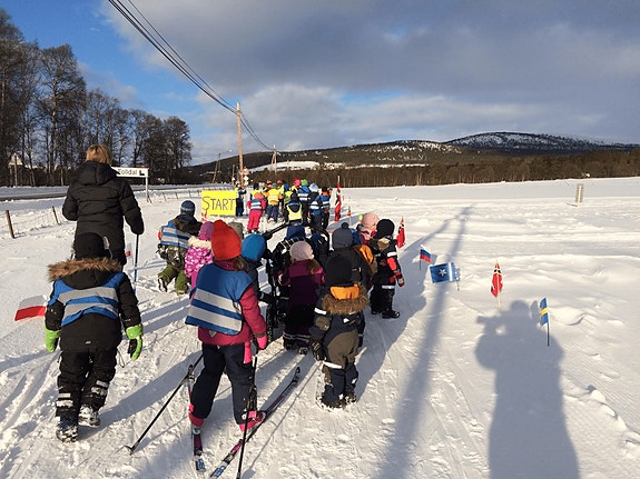 Bilde 1 av 1 i jobbannonse-galleriet