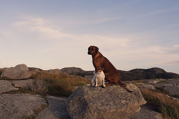 Bilde 5 av 10 i jobbannonse-galleriet