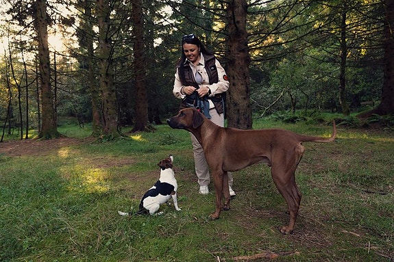 Bilde 3 av 10 i jobbannonse-galleriet