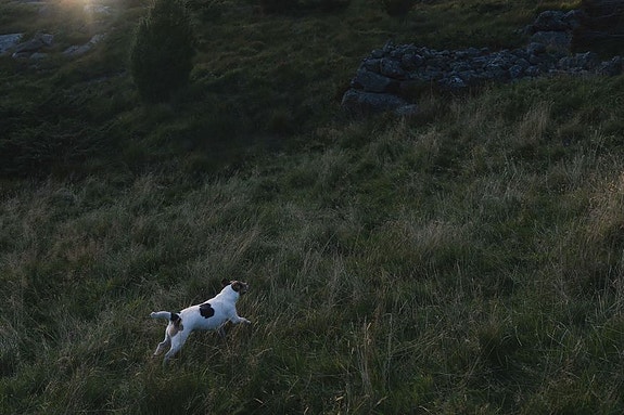 Bilde 10 av 10 i jobbannonse-galleriet